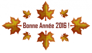 bonne année 2016