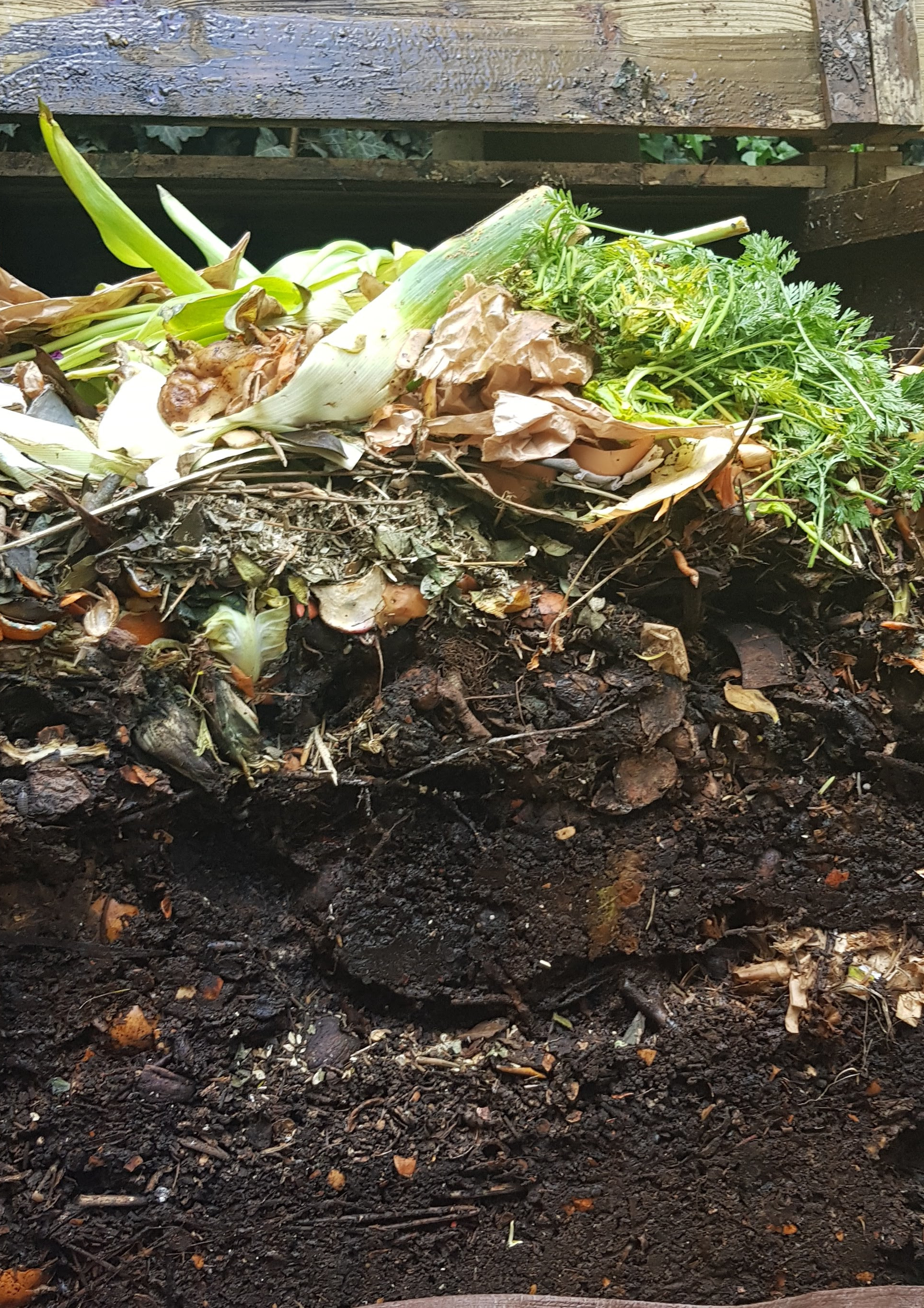 Compostul compost2 | Organeo