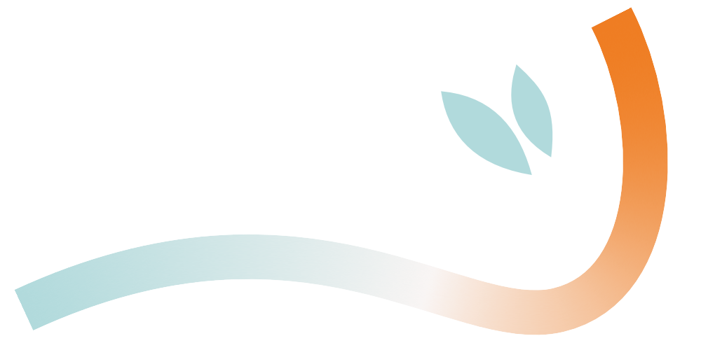 illustration 1